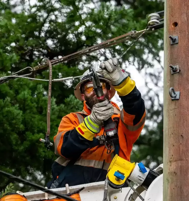 Jobs Immune to AI Automation: Electrical Lineworkers Lead the Pack
