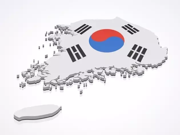 South Korea's Inflation Battle: Government Interventions vs. Persistent Price Pressures