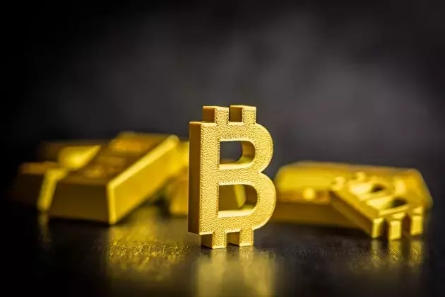 Analyzing the Bitcoin-Gold Dynamic: A Macro-Economic Perspective