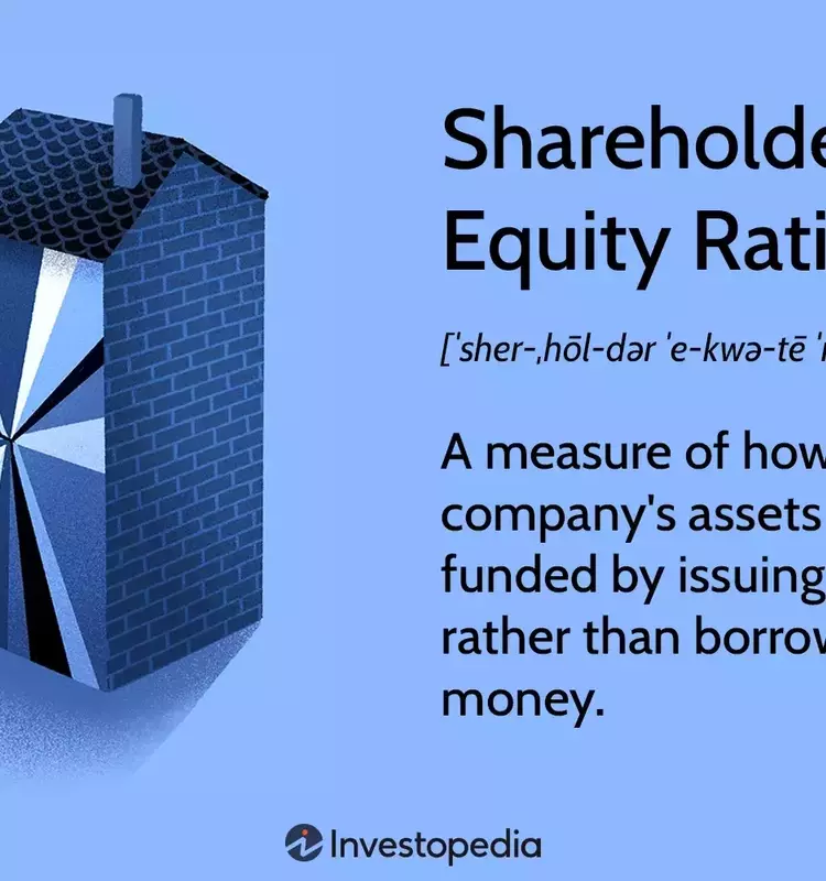 Understanding the Shareholder Equity Ratio: A Key Financial Metric