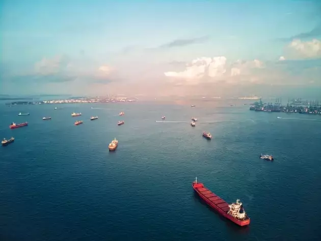 ZIM Integrated Shipping: Navigating a New Bid and Future Prospects