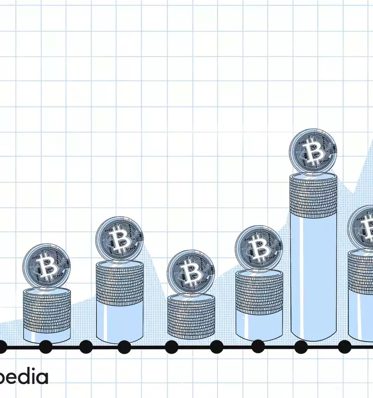 The Dynamic Price Evolution of Bitcoin