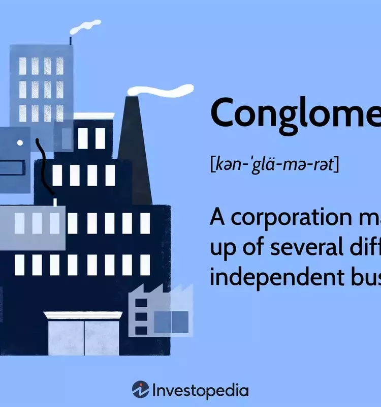 The Dynamics of Corporate Conglomerates: Structure, Evolution, and Impact