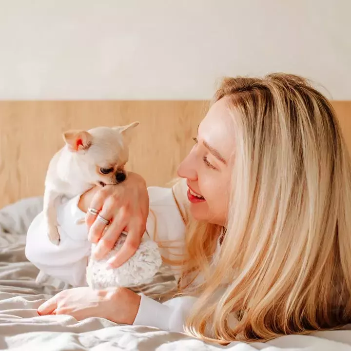 Understanding and Managing Your Dog's Nibbling Behavior
