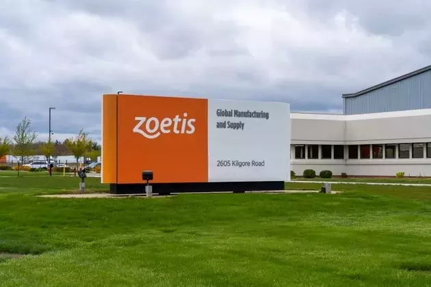 Zoetis Faces Market Headwinds and Future Prospects