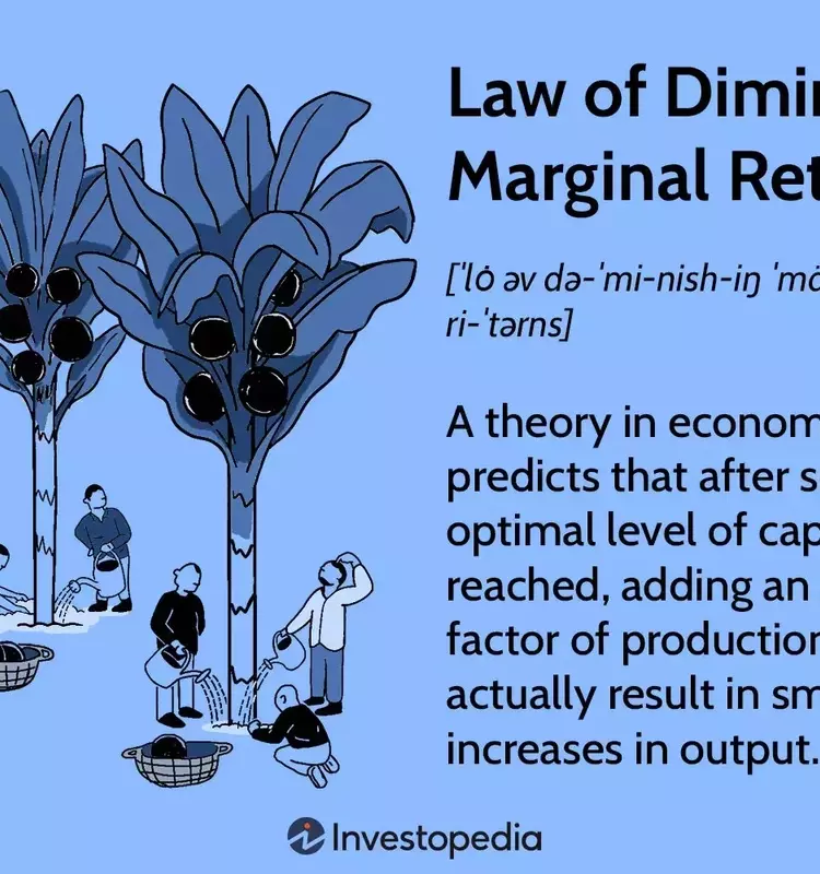 Understanding the Law of Diminishing Marginal Returns
