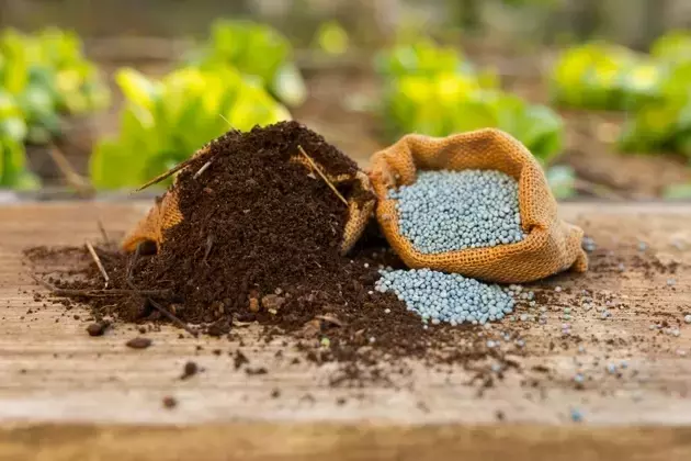Nutrien's Undervalued Position in the Global Fertilizer Market