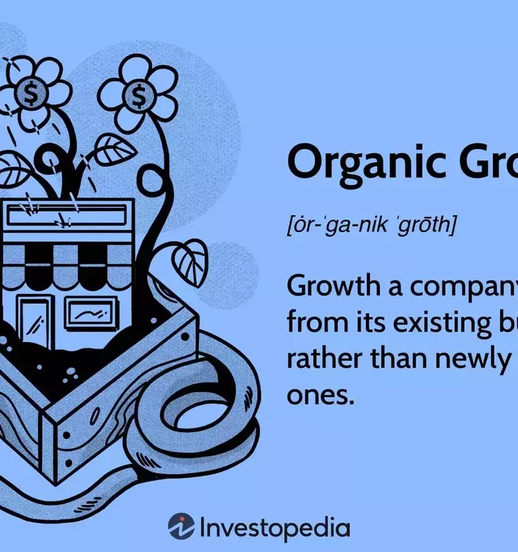 Understanding Organic Business Growth
