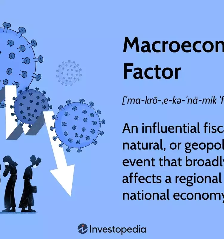 Understanding Macroeconomic Factors and Their Economic Impact