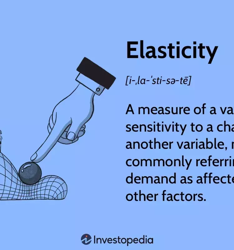 Understanding Economic Elasticity: A Comprehensive Guide