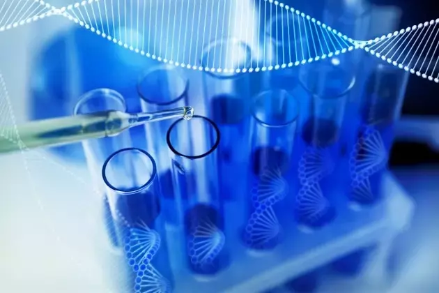 Erasca (ERAS): A 'Hold' Due to Promising Early Data and Substantial Risks