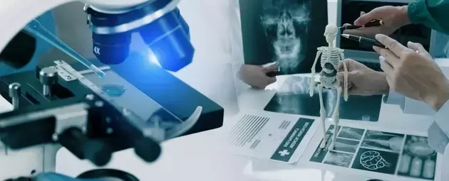 QuidelOrtho: A Resilient Business with Significant Undervaluation Potential