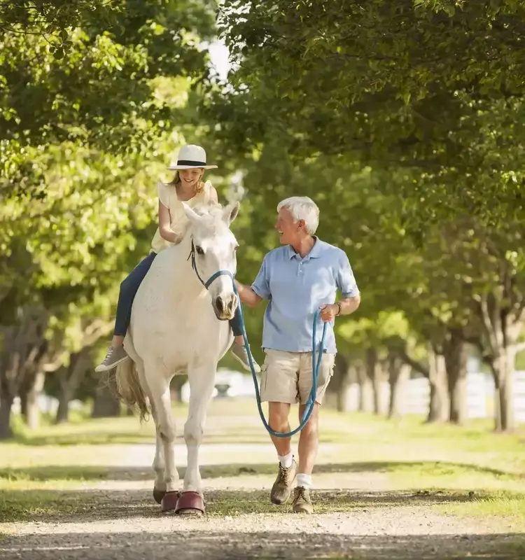 Retirement Havens: Exploring the Southeast for Your Golden Years