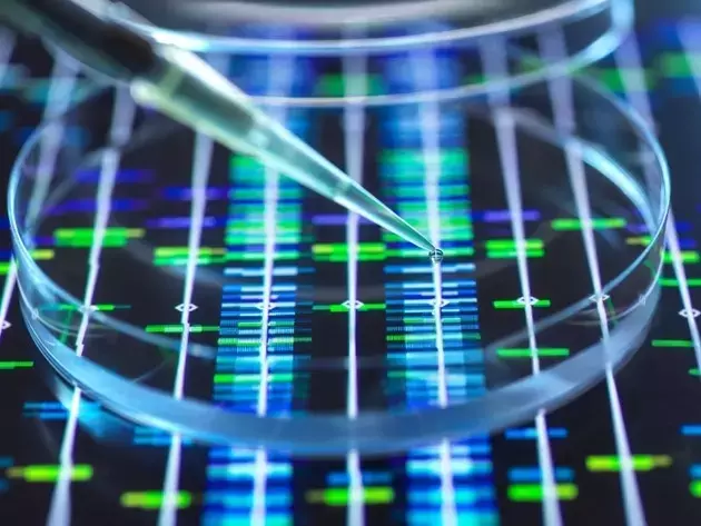 Arrowhead Pharmaceuticals: Reaching a Pivotal Juncture