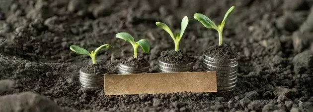 Polen 5Perspectives Small-Mid Growth: Q1 2026 Performance Analysis