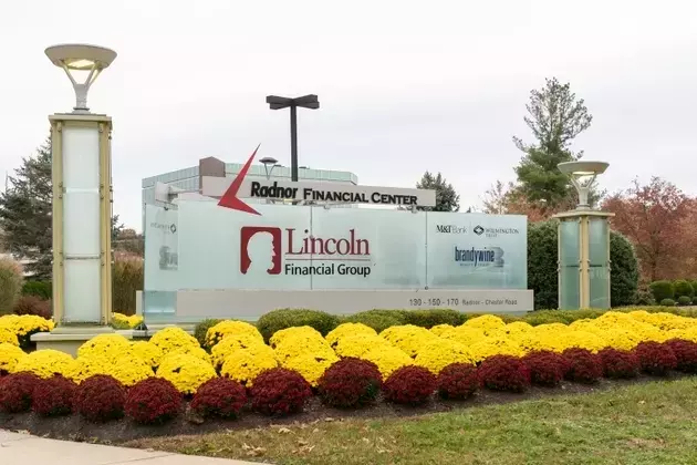 Unveiling Investment Prospects: Lincoln National's Strategic Resilience Amidst Market Volatility