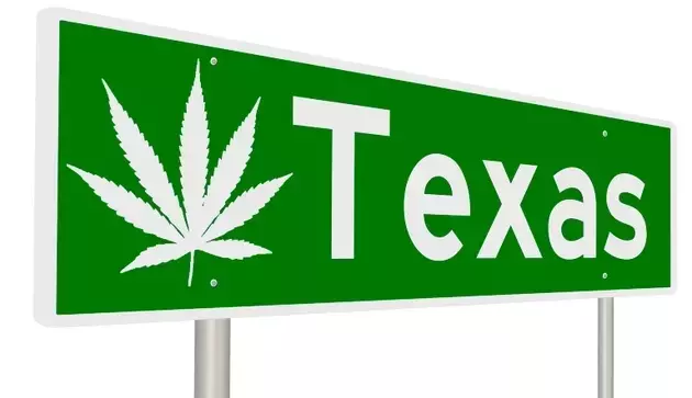 Village Farms International: Potential Growth in the U.S. Cannabis Market
