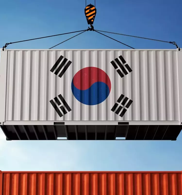 South Korean Equities: High Concentration in Tech Poses Significant Risk