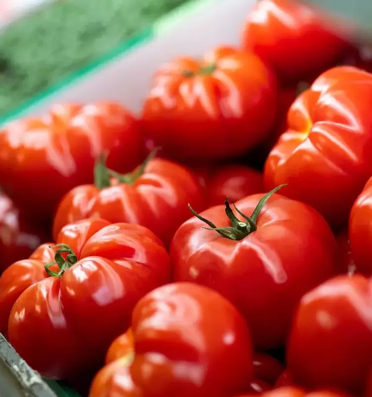 Grocery Price Fluctuations: Rising and Falling Costs