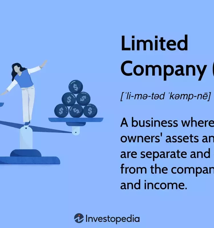 Understanding Limited Companies: Structure, Benefits, and Variations
