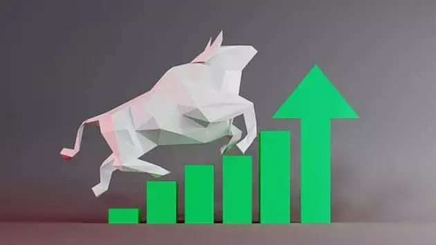 Market Correction or Continued Growth? An In-depth Analysis