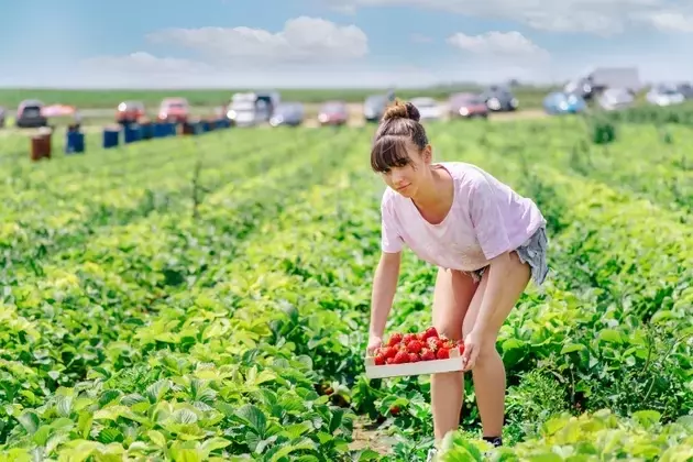 Federal Agricultural Mortgage Corporation: A Compelling Investment in Preferred Shares