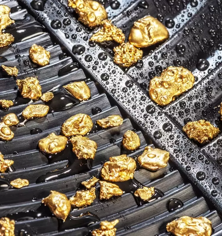 Equinox Gold Acquires Orla Mining: A Strategic Merger in the North American Gold Sector