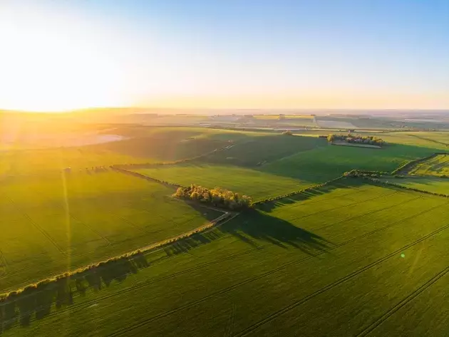 Gladstone Land Navigates Agricultural Headwinds: A Strategic Shift Towards Sustainable Earnings