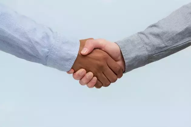 A United Front: The Strategic Merger of Dominion Energy and NextEra Energy