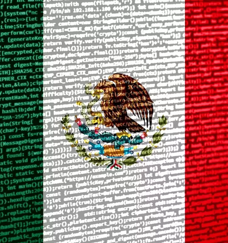 Analyzing the Mexico Fund's Investment Profile