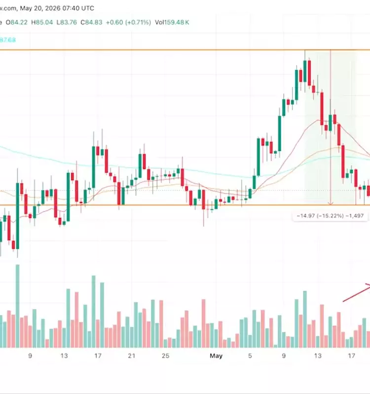 Solana's Price Plummets as Bearish Indicators Intensify
