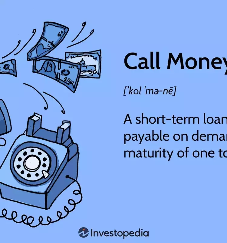 The Dynamics of Call Money in Financial Markets