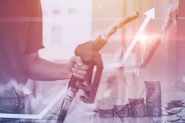 Rising Fuel Costs: A Divisive Force in the Eurozone's Economic Landscape