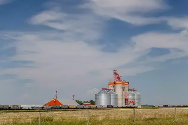 Conagra Brands: Anticipating a Significant Dividend Reduction