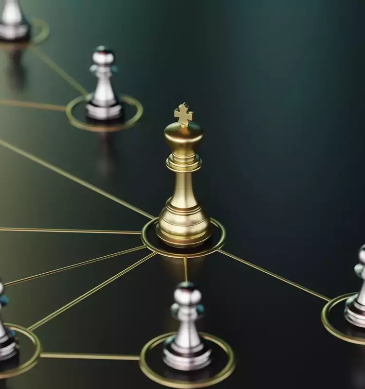 Identifying Future Dividend Kings