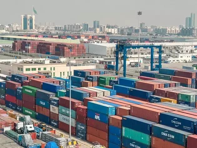 RUI Holdings IPO: A Deep Dive into Its Overvalued Logistics Business