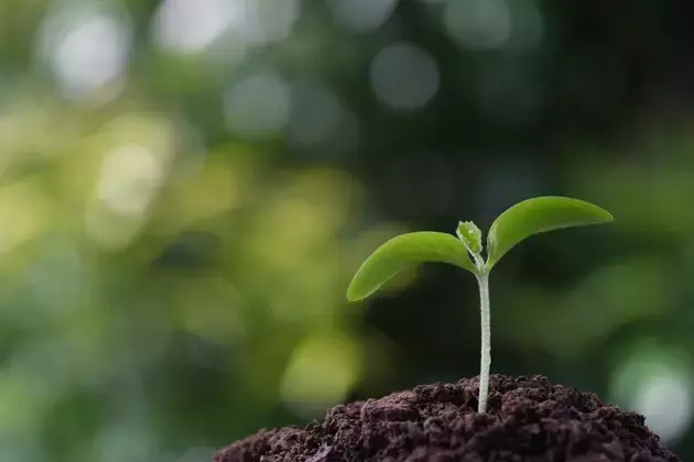 Sprout Social: AI Concerns Overstated, Undervalued Growth Opportunity