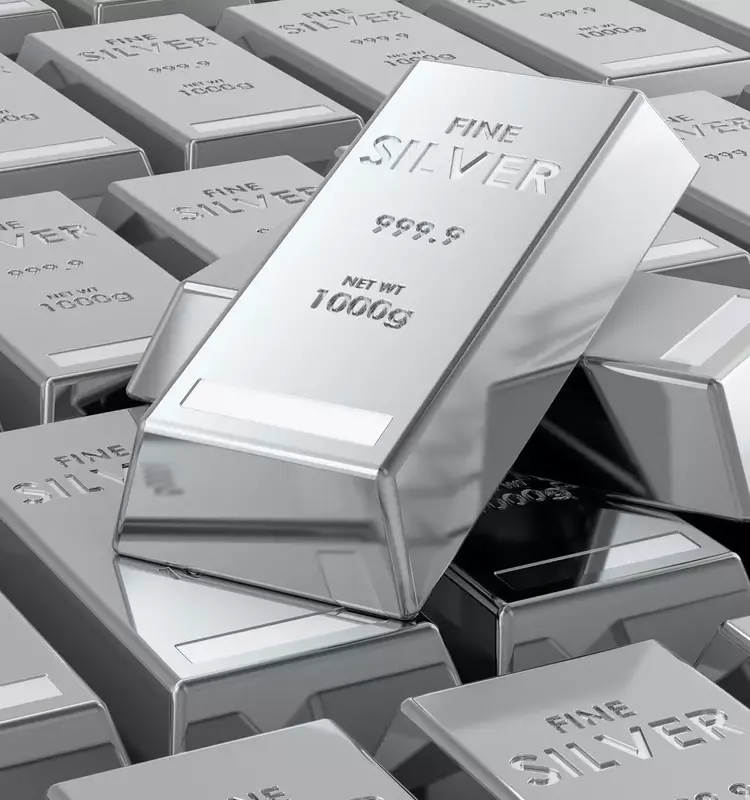 Vizsla Silver: Panuco Project Progress and Investment Outlook