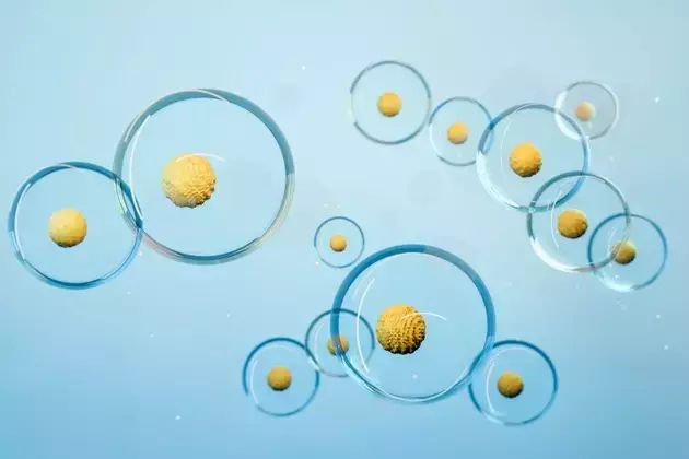 Edgewise Therapeutics: A New Horizon in Cardiovascular Drug Development