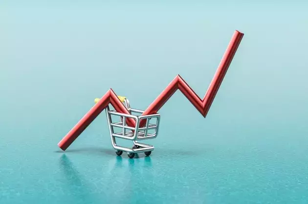 Strategic Investment Choices for Sustainable Retirement Income