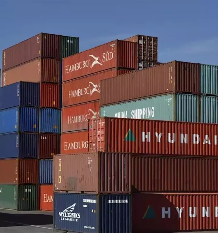 Coupang's Strategic Expansion and Market Potential