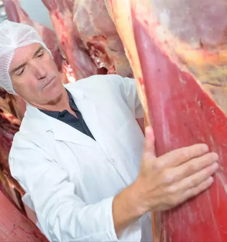 JBS N.V. Remains a Promising Large Cap Investment Opportunity