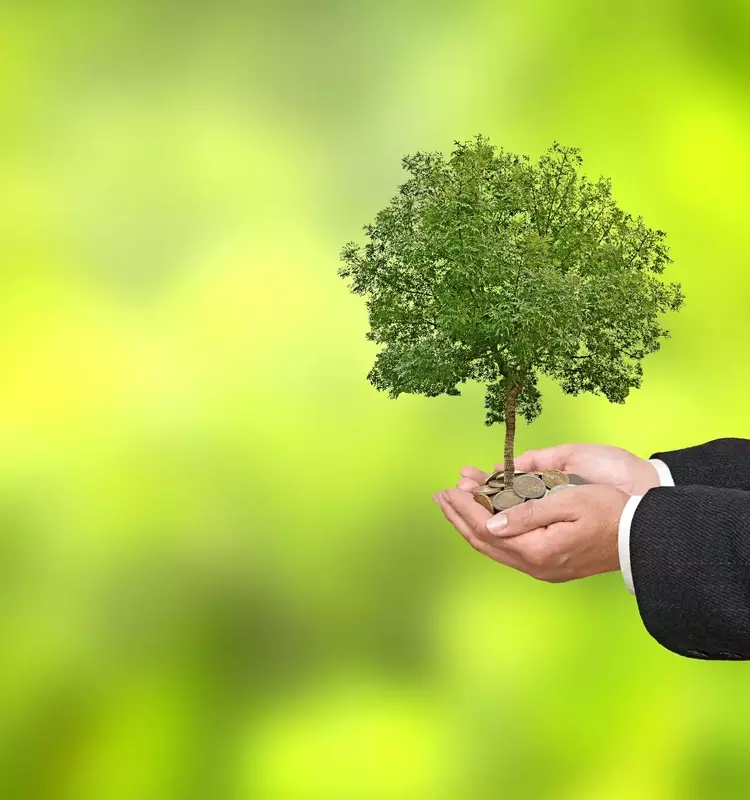 LendingTree's Insurance Sector Fuels Growth Amidst Market Volatility