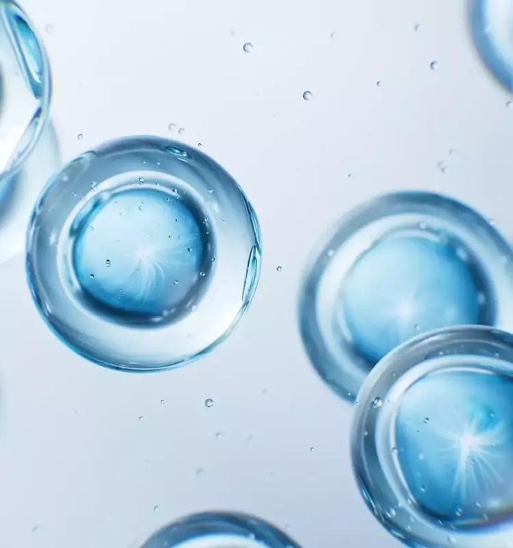 IDEAYA Biosciences: A 'Strong Buy' on Darovasertib's Potential and Strategic Growth