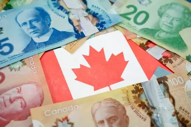 iShares S&P/TSX Composite High Div Idx ETF: A Balanced Approach to Canadian Dividend Investing