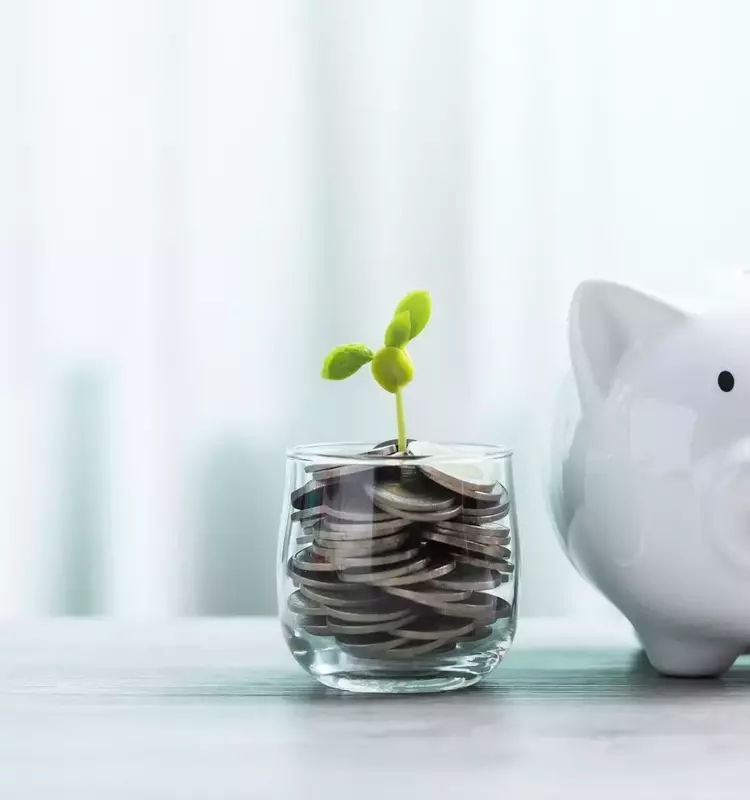 Strategic Investment Moves Amidst Market Peaks: A May 2026 Review