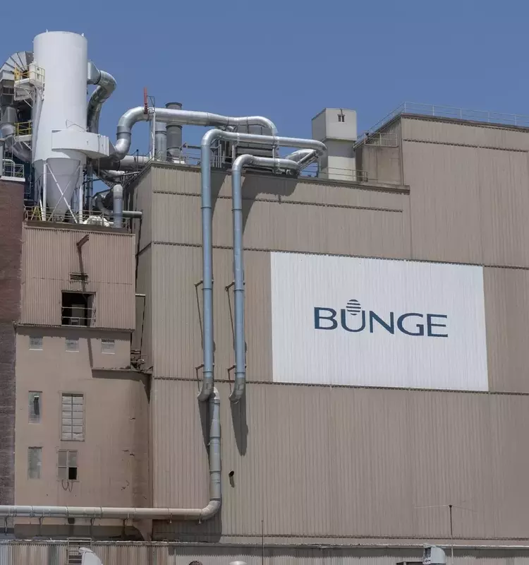 Bunge Stock Rating Adjusted: From 'Buy' to 'Hold' Amidst Near Record Highs