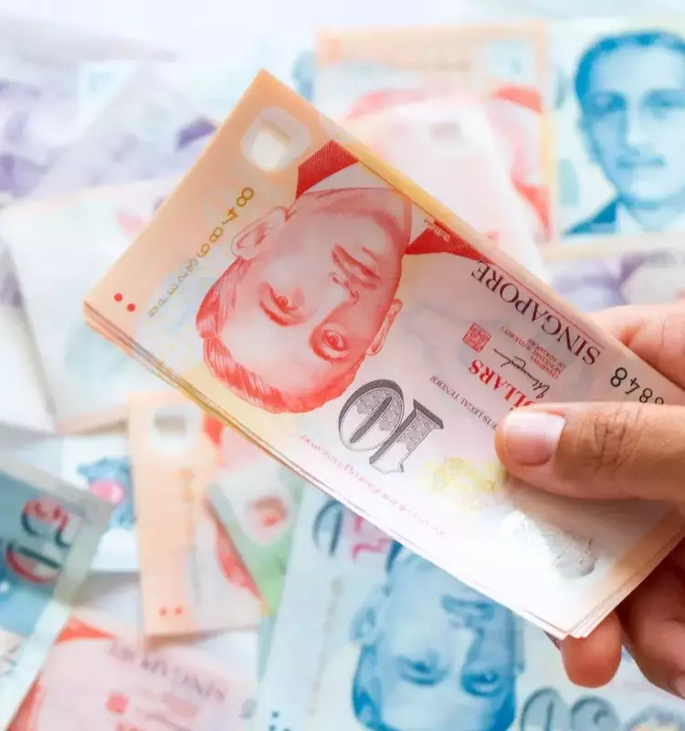 The Singapore Dollar: A Pillar of Stability in the Global Economy