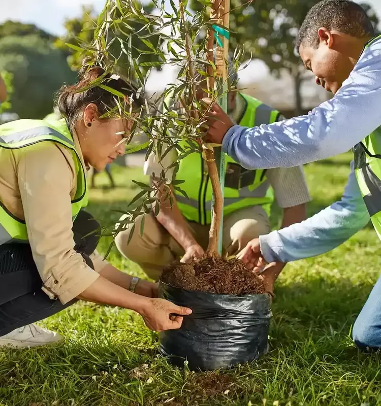 The Essence of Philanthropy: Historical Roots, Modern Impact, and Personal Benefits