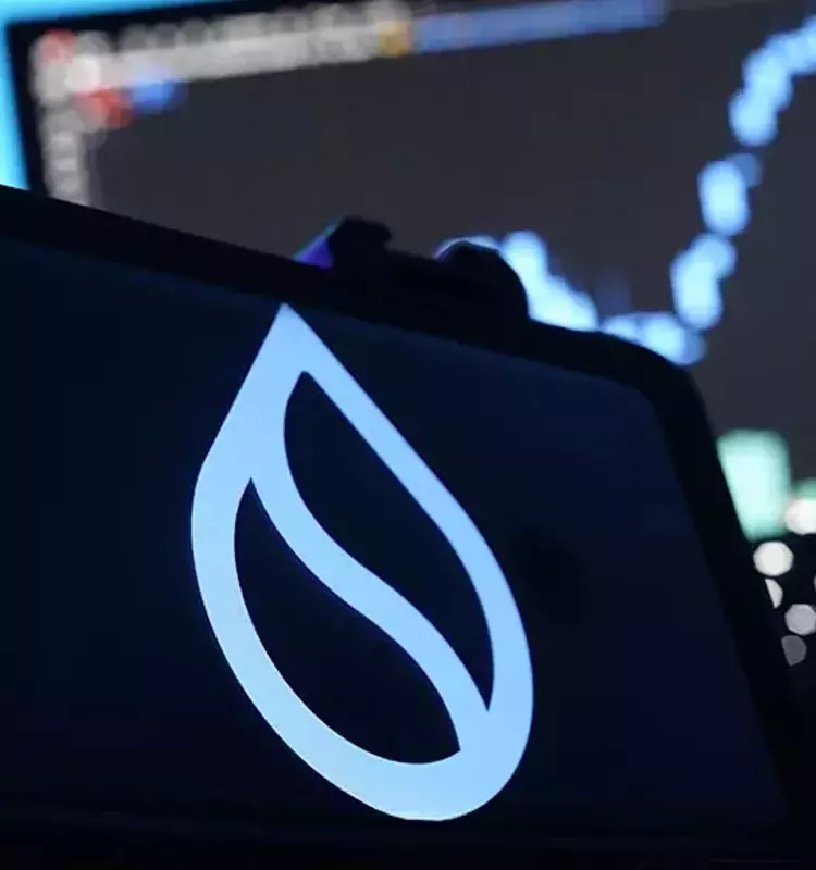 SUI Group Expands Bluefin Alliance with Additional SUI Loan
